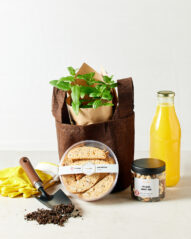 מארז טו בשבט של ארקפה